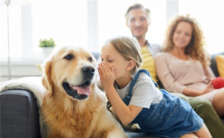 Hablar con tu mascota te hace más inteligente que la media