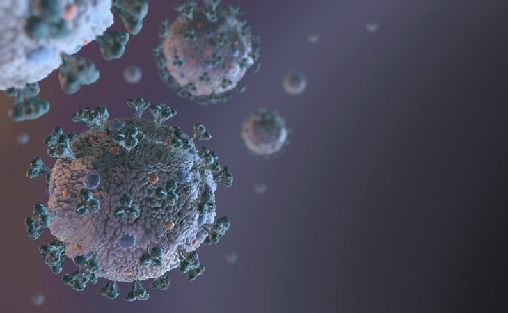 El coronavirus 