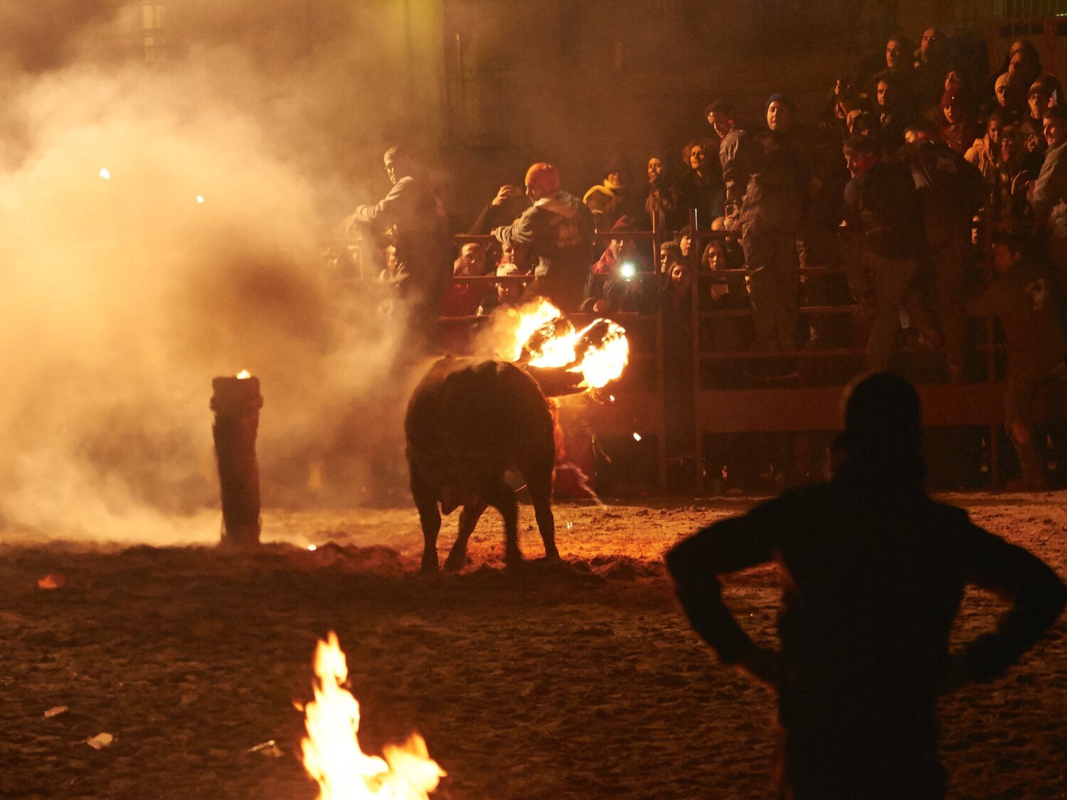 Toro Jubilo de Medinaceli: polémica celebración tras rechazar un recurso de PACMA