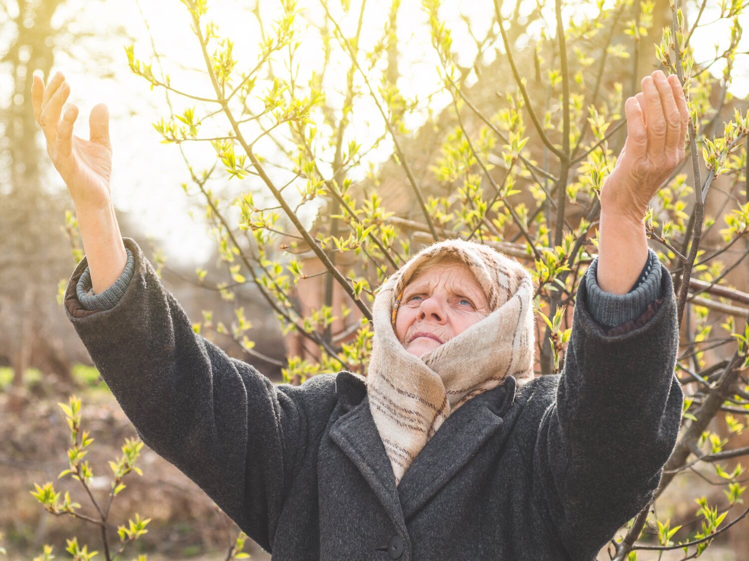 ¿Qué significado y origen tiene la expresión "a Dios rogando y con el mazo dando"?