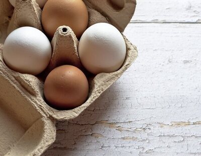 Estos son los mejores huevos frescos del supermercado, según la OCU
