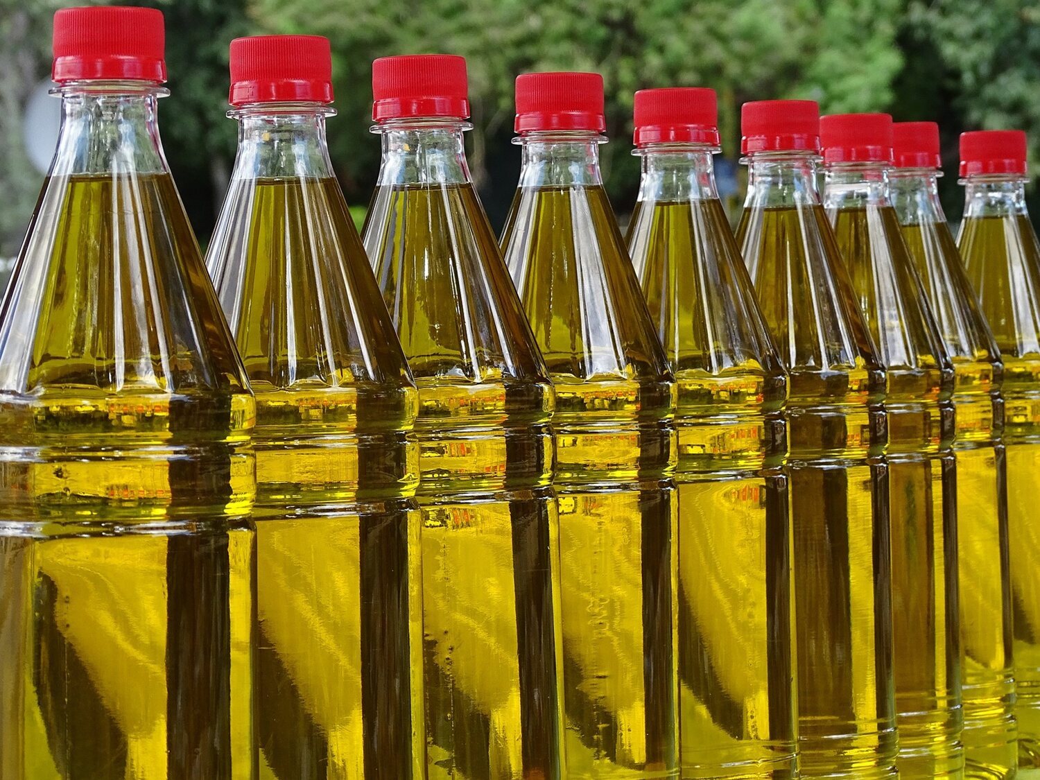 Este sería el precio del aceite de oliva sin el IVA en todos los supermercados
