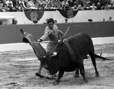 Muere el torero Paco Camino, 'el Niño Sabio de Camas', a los 84 años de edad