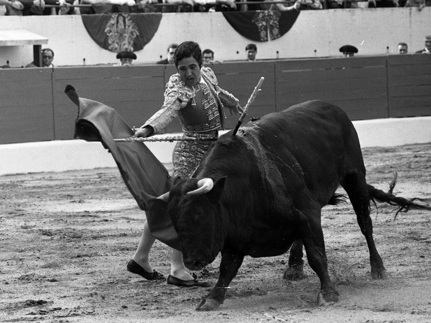 Muere el torero Paco Camino, 'el Niño Sabio de Camas', a los 84 años de edad