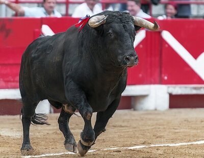 Muere un hombre brutalmente corneado por un toro en El Casar (Guadalajara)