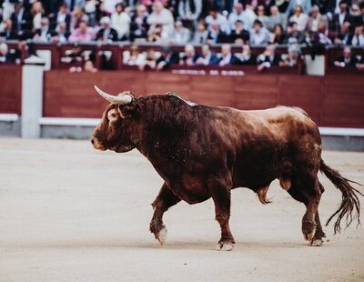 Desmantelan un laboratorio de cocaína en una plaza de toros de Toledo