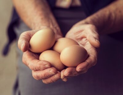 La alerta de la OCU: revisa esto siempre que vayas a comprar huevos en el supermercado