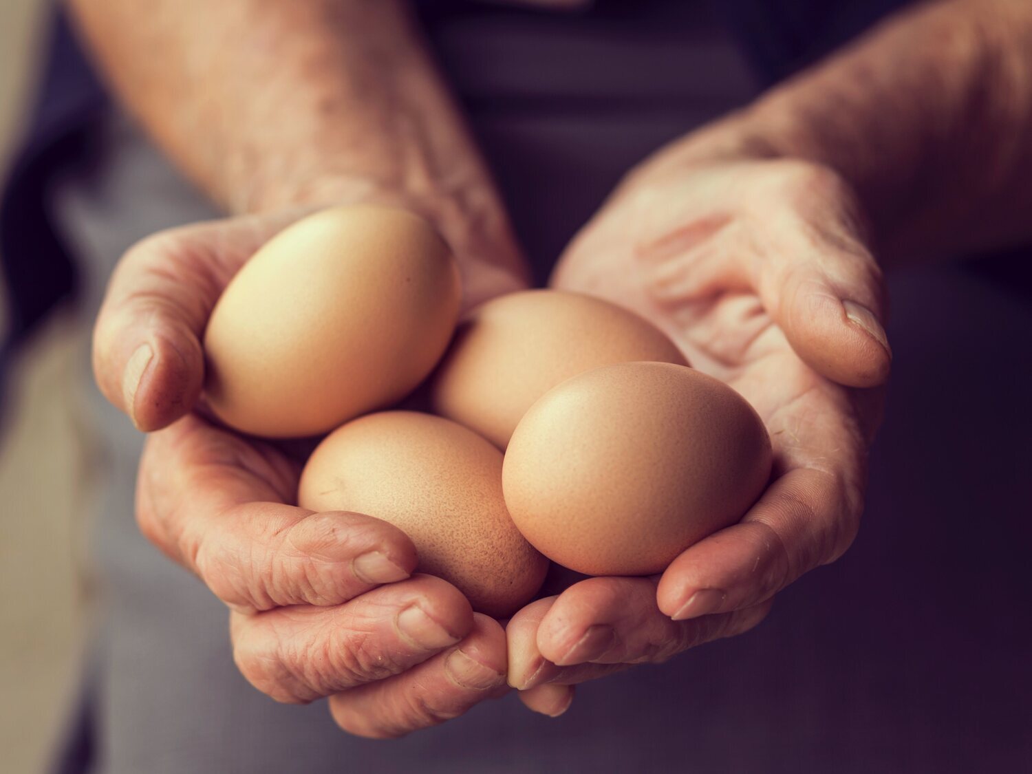 La alerta de la OCU: revisa esto siempre que vayas a comprar huevos en el supermercado