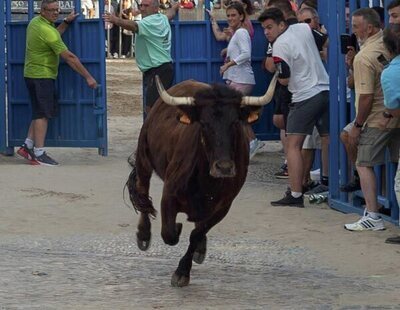 Muere un hombre al tropezarse y ser embestido brutalmente por un toro en Castellón