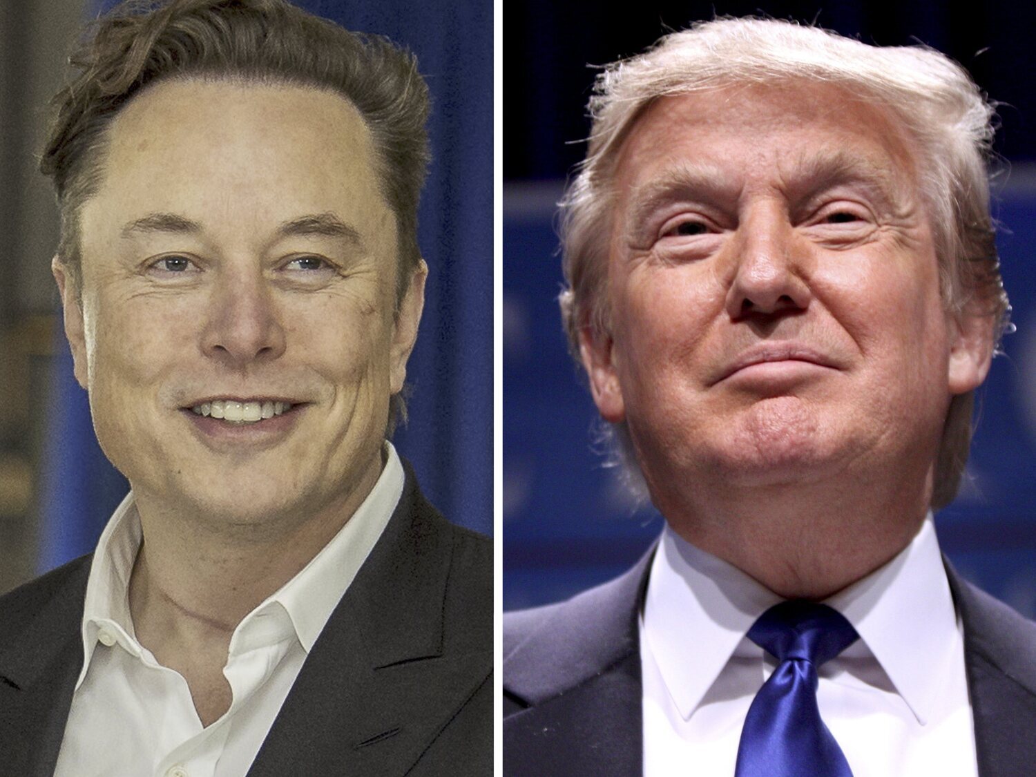 Elon Musk promete donar un millón de dólares diarios a quien firme un manifiesto por Trump