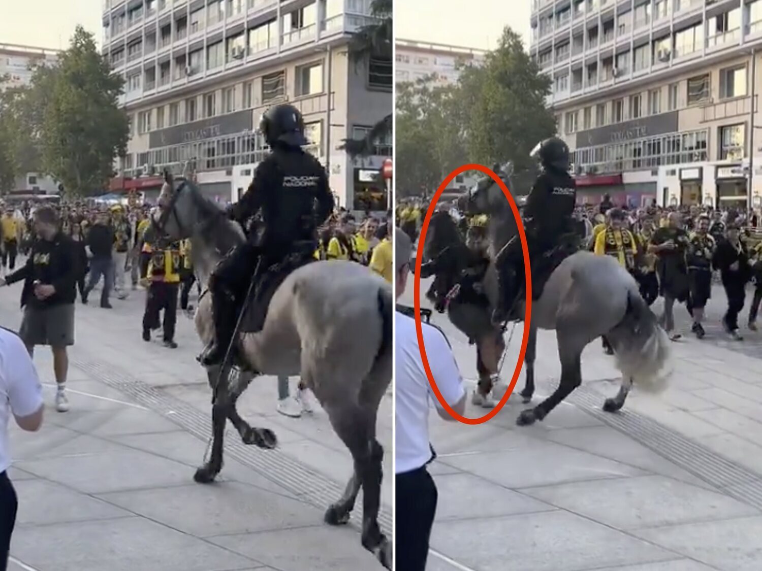 Un policía a caballo empotra a un fan del Dortmund en el partido ante el Real Madrid