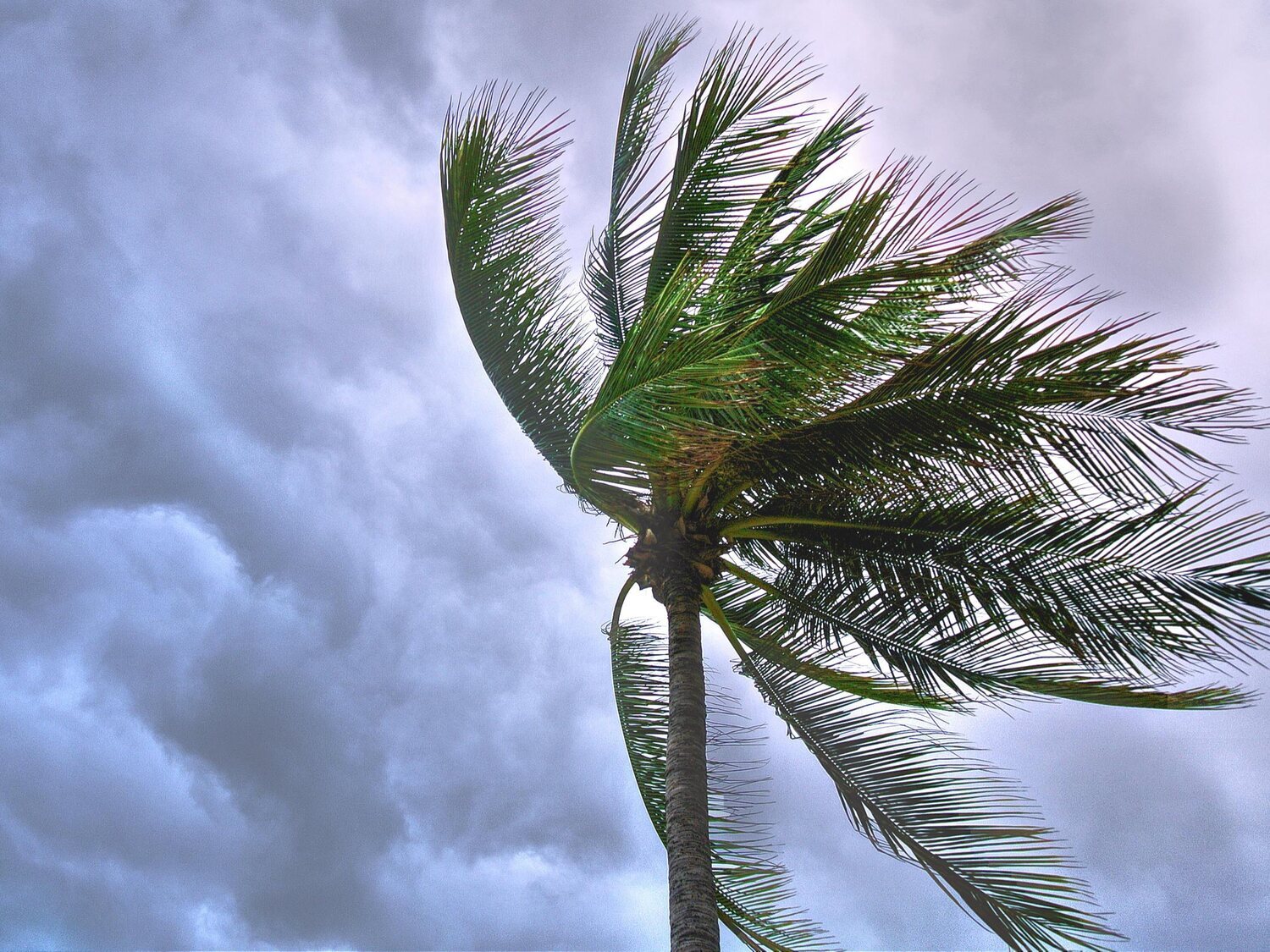 Llega la tormenta subtropical Patty a España: la AEMET pone en alerta estas zonas