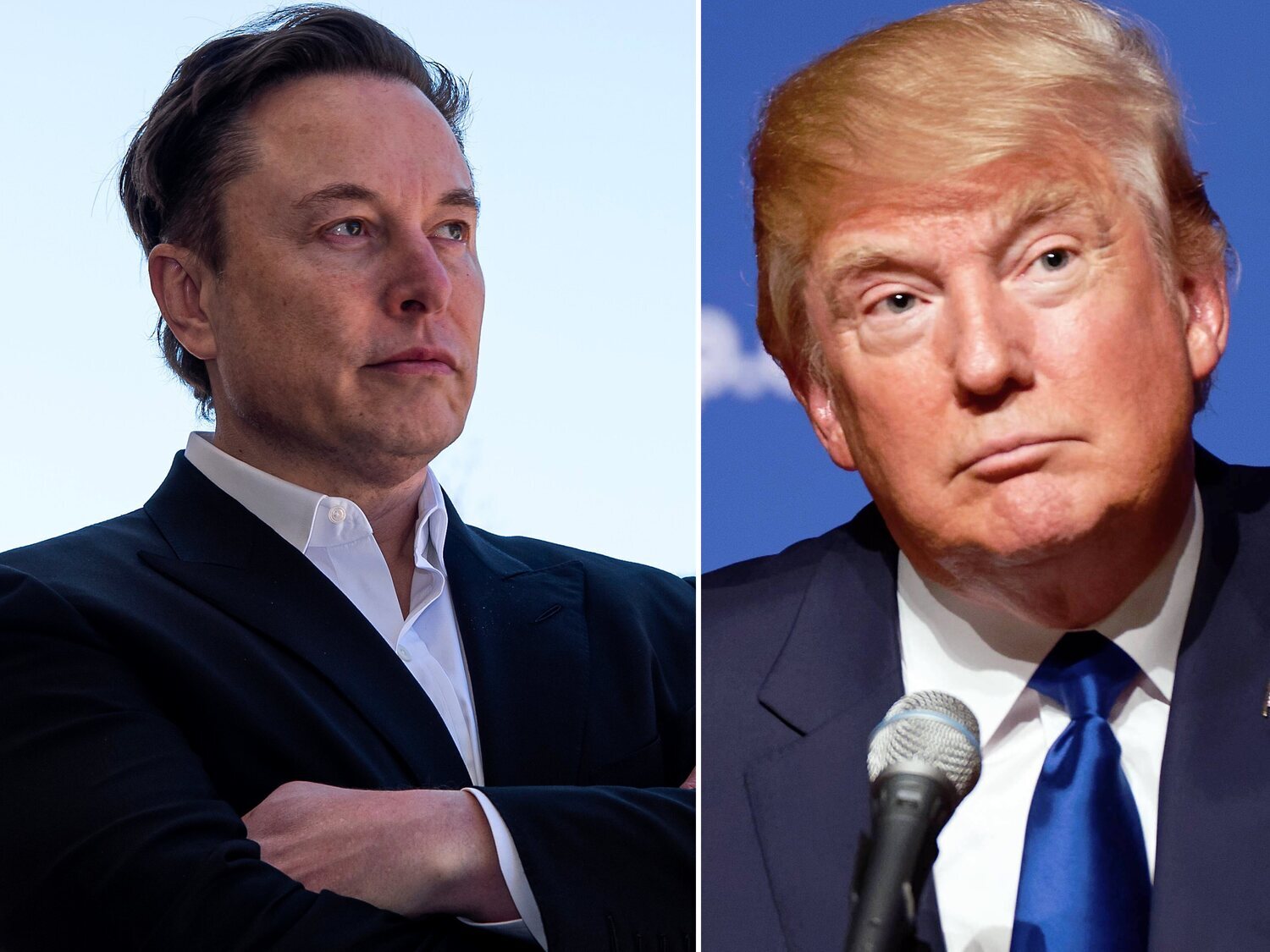 Qué se espera de Elon Musk en el Gobierno de Trump: el verdadero objetivo del dueño de X