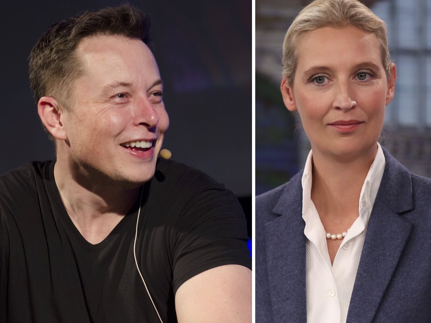 Elon Musk muestra su apoyo a los ultras de AfD a dos meses de las elecciones en Alemania