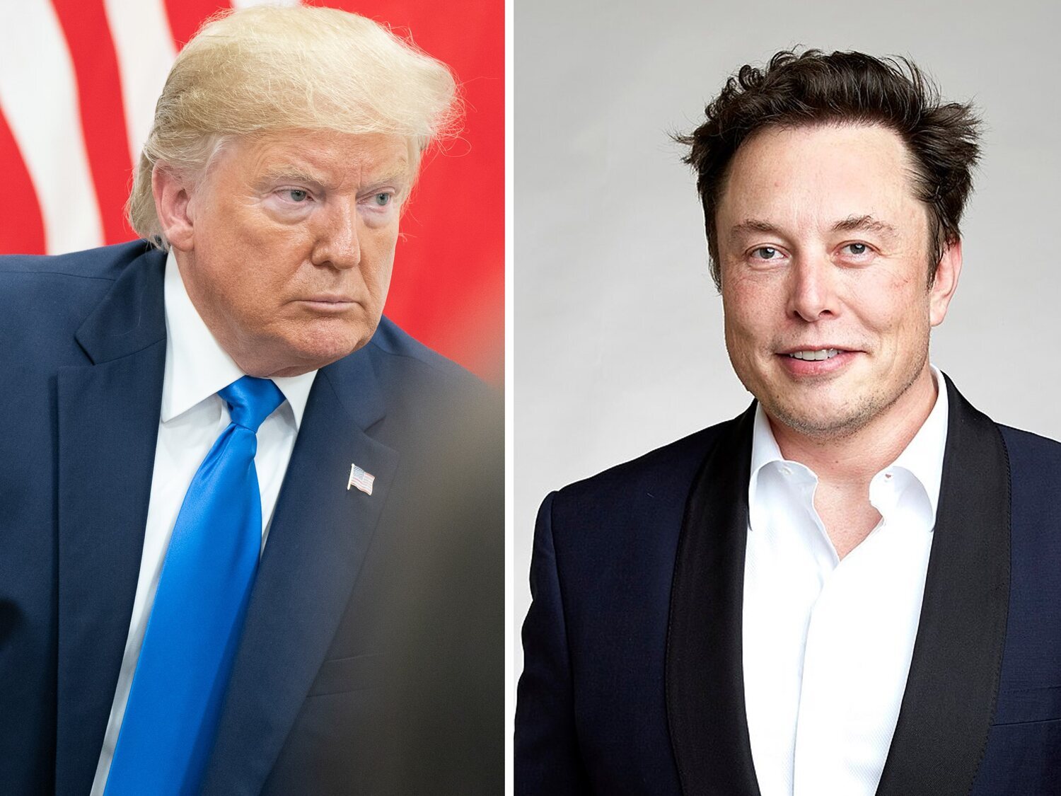 Donald Trump y Elon Musk preparan despidos "a gran escala" en la Administración