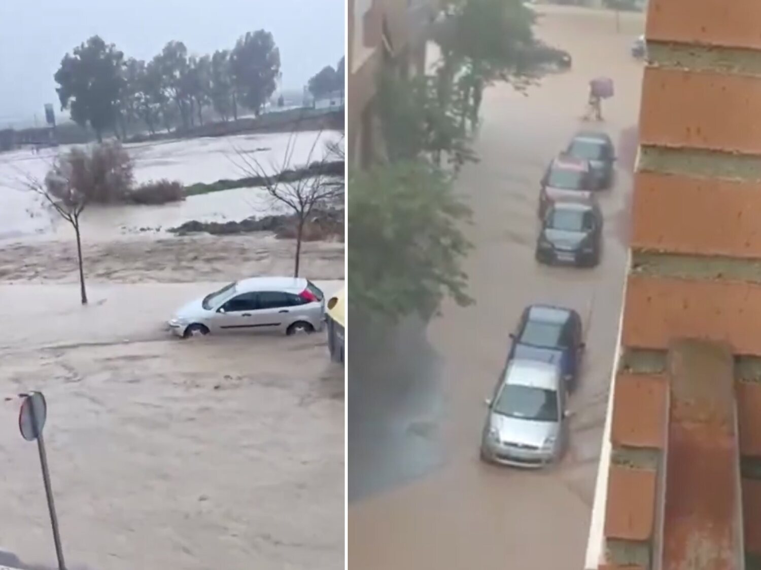 Alerta por temporal en Murcia: piden no salir a la calle y las riadas arrastran coches