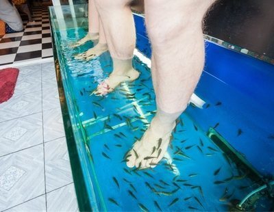 Una mujer se hace la pedicura con peces y pierde las uñas de sus pies