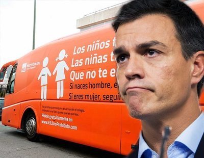 El Gobierno de Pedro Sánchez abre expediente para retirar la utilidad pública a Hazte Oír