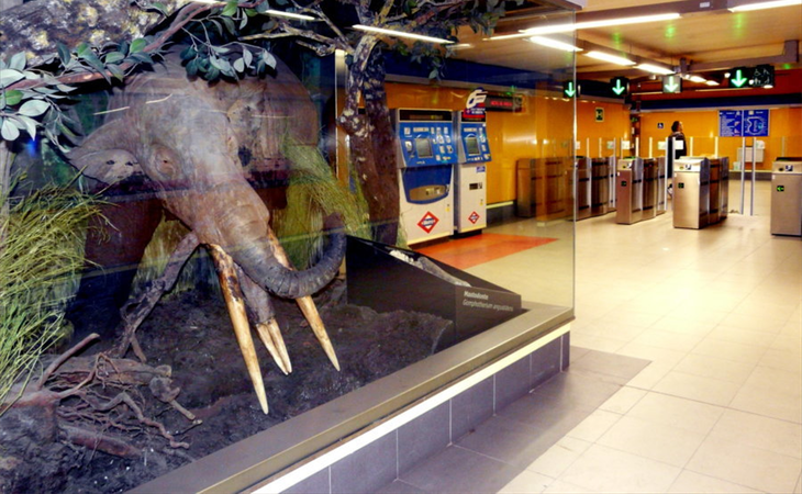 La estación de Carpetana alberga un pequeño museo con vestigios prehistóricos y un centro de interpretación