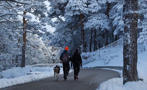 Nieve en Cercedilla