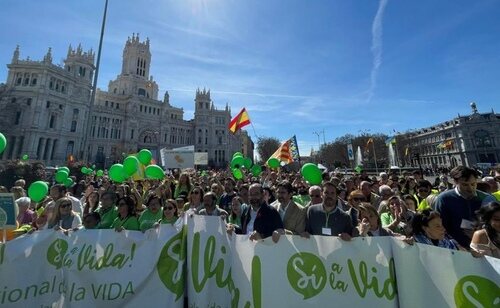 Manifestación contra el aborto de la plataforma 