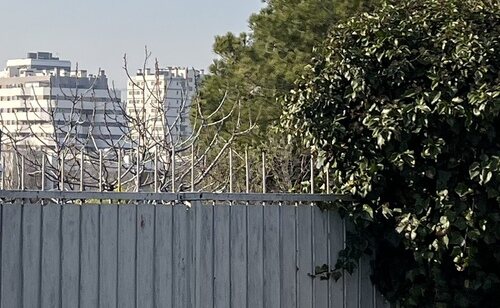 Construcción de nuevos barrios en el entorno de Cañada Real