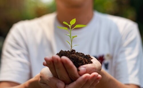 El estrés hídrico es uno de los principales problemas vinculados al cambio climático