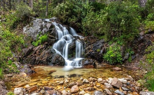 Paisaje natural en Cercedilla