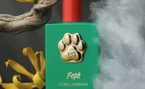 Perfume Fefé de Dolce & Gabanna