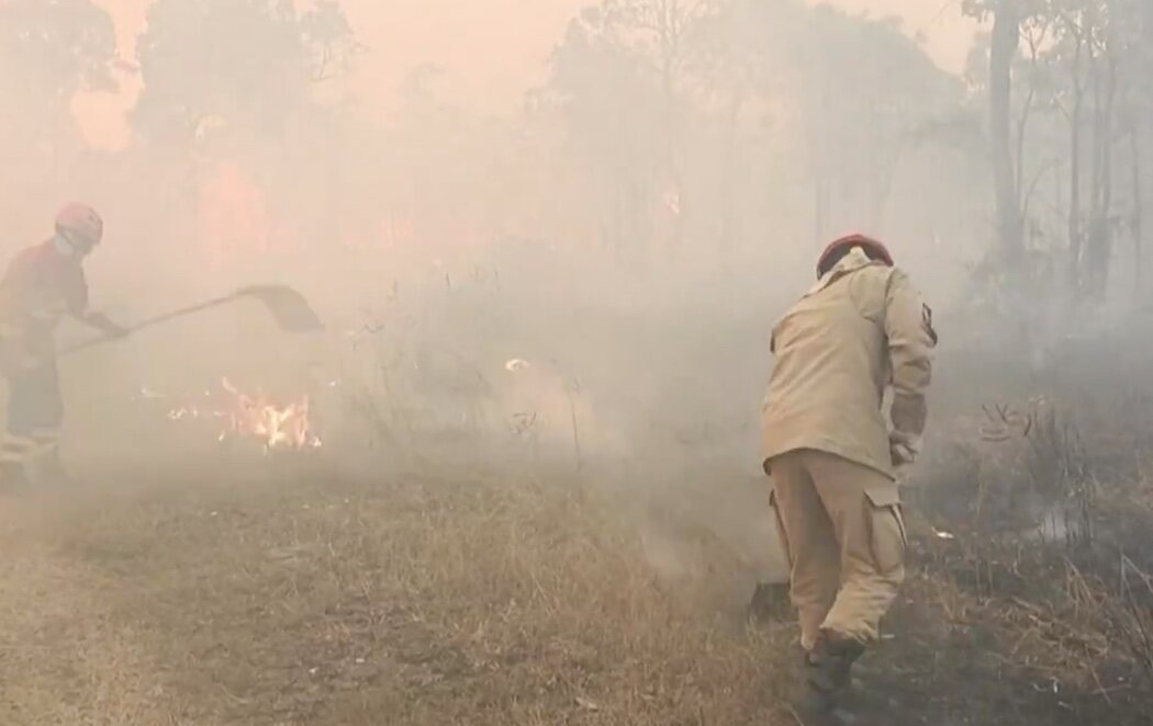 Los bomberos luchan para controlar los incendios en el Pantanal