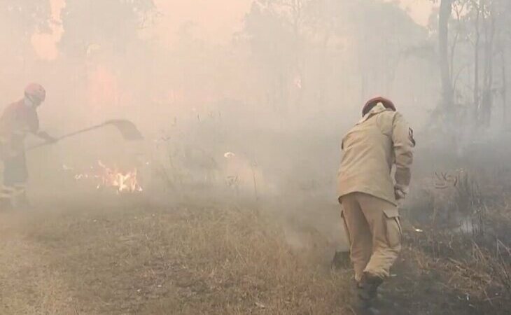 Los bomberos luchan para controlar los incendios en el Pantanal