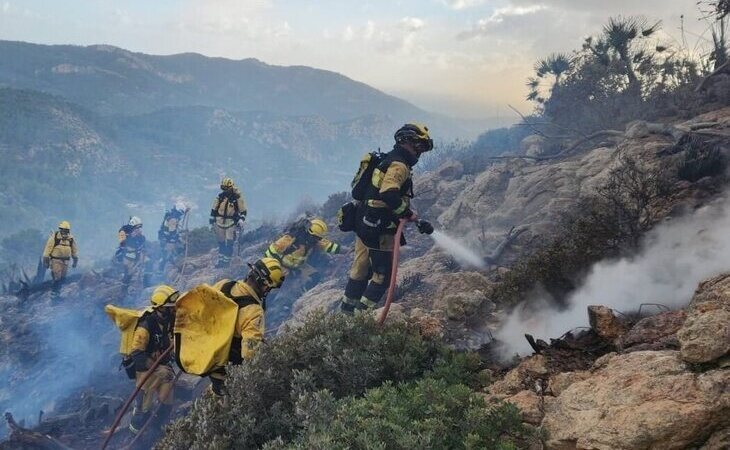 Estabilizado el incendio forestal de Andratx tras calcinar 60 hectáreas de pino y carrizo